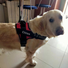 Cargar imagen en el visor de la galería, Arnés personalizable para todas las razas de perro